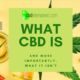 what cbd is and more importantly what it isn't at cbdeternalzest